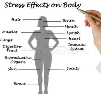stress effect on body
